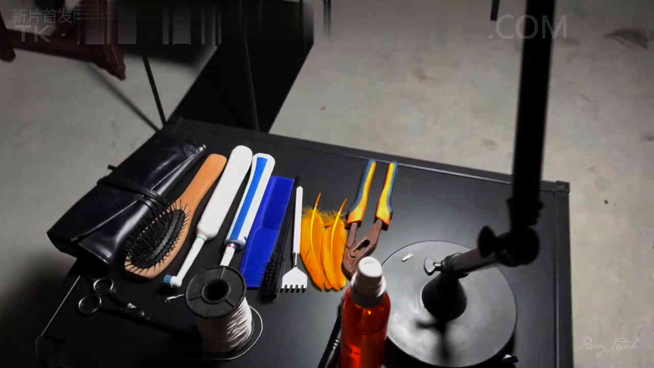 欧美挠痒痒网站新作之C4S  interrogatoire！在线看！